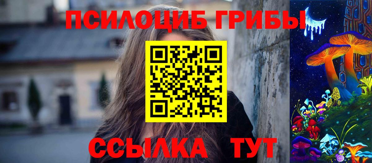 Псилоцибиновые грибы Psilocybine cubensis Минеральные Воды